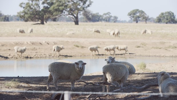 Inland regions of south-eastern Australia are notching record-breaking temperatures for April.