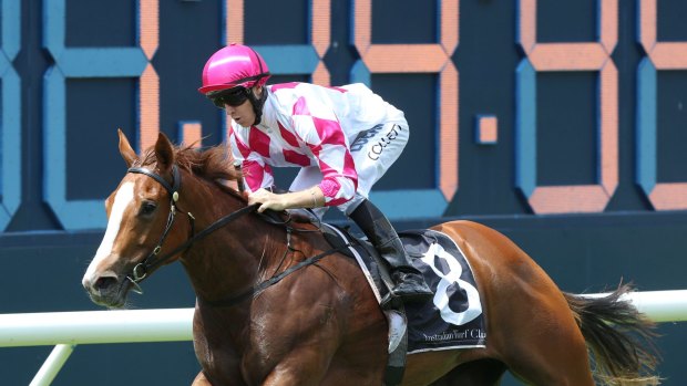 Up to the challenge: Champagne Cuddles faces her biggest test in Saturday's  Kingsford Smith Cup at Doomben