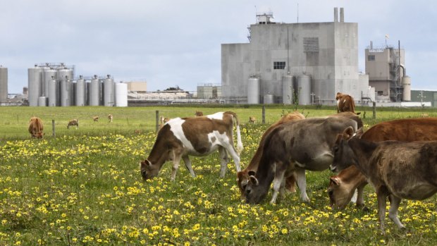 Warrnambool Cheese and Butter has posted a $1.2 million loss, citing a collapse in global dairy prices.