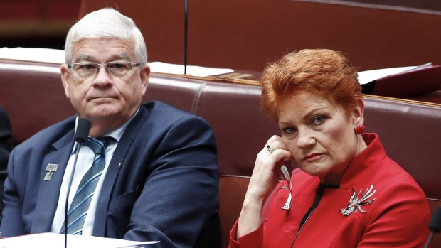 One Nation senators Brian Burston and Pauline Hanson.