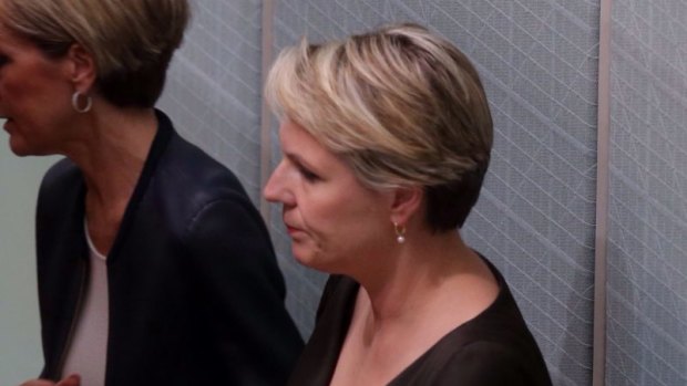 Foreign Affairs Minister Julie Bishop and shadow minister Tanya Plibersek in Question Time on Thursday.