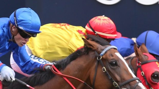 Fresh and fast: Hartnell, in the Godolphin blue silks,  storms to victory in the CF Orr Stakes.