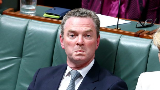 Defence Industry Minister Christopher Pyne and Foreign Affairs Minister Julie Bishop during question time on Wednesday.