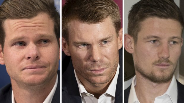 Considering their options: Steve Smith, David Warner and  Cameron Bancroft.