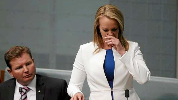 The Member for Lindsay Fiona Scott delivers her maiden speech, at Parliament House in Canberra on Wednesday.