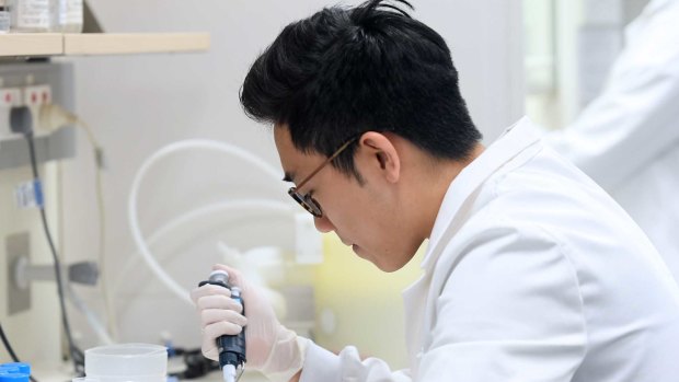 A scientist works in a lab at the Victor Chang Cardiac Research Institute in Sydney.