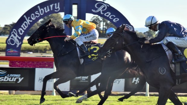 Home girl: Shazee Lee wins the group 3 Hawkesbury Guineas last year at a big price.