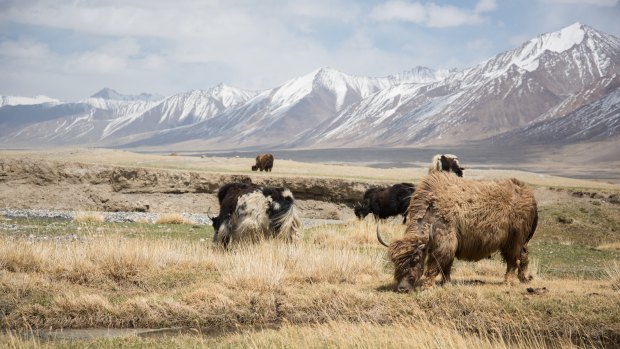 The Wakhan corridor was created as a buffer zone between tsarist Russia and the British Empire in the 19th century.