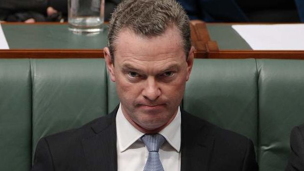 Leader of the House Christopher Pyne during question time. Photo: Alex Ellinghausen