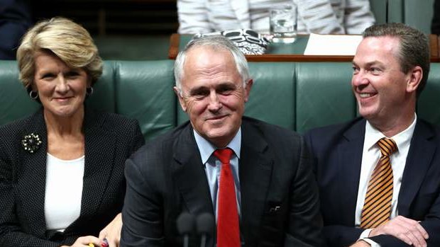 Foreign Affairs Minister Julie Bishop, Communications Minister Malcolm Turnbull and Leader of the House Christopher Pyne during question time. Photo: Alex Ellinghausen