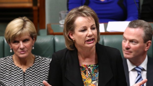 Health Minister Sussan Ley during question time on Wednesday.