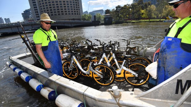 Jason Wittmann (hat) and Robbie Stavenuiter (cap) collect oBikes from the Yarra.