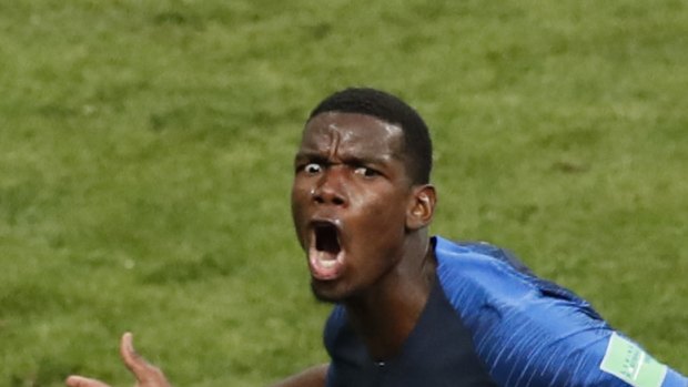 France's Paul Pogba celebrates after scoring his side's third goal .