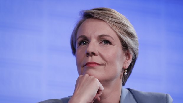 Labor's education spokeswoman, Tanya Plibersek, says the NAPLAN test has become "too high stakes". 