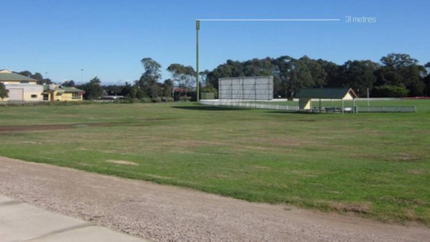 An artist's impression of the proposed Telstra tower at the cricket field near Birkdale Road, Wellington Point.