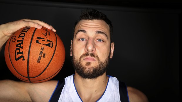 Kings man: Andrew Bogut has agreed to join the Sydney Kings.