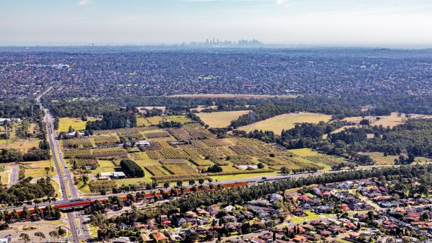 Jenkins Orchard, in suburban Wantirna South, is on the market. 