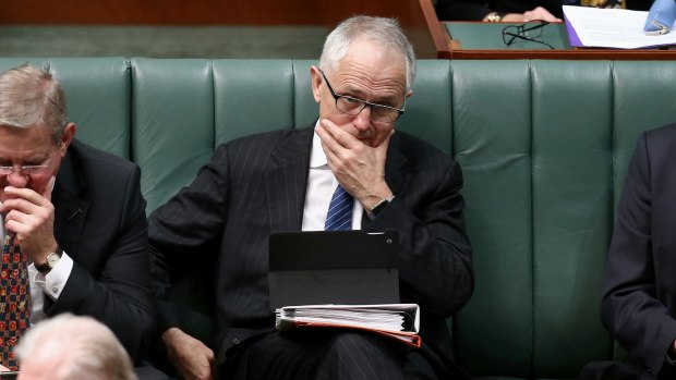 Communications Minister Malcolm Turnbull during question time on Wednesday.