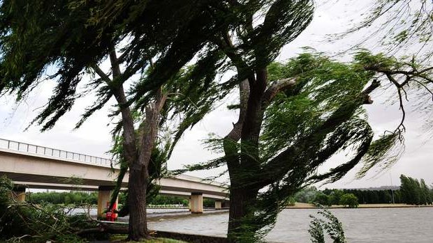 Strong winds over Canberra brought down tree branches near the lake.