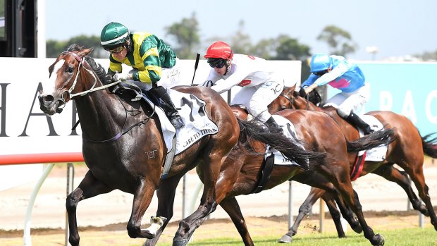 Explosive:  Trainer Matt Dunn believe Care To Think can emulate his Magic Millions Cup victory if he settles in the Stradbroke.