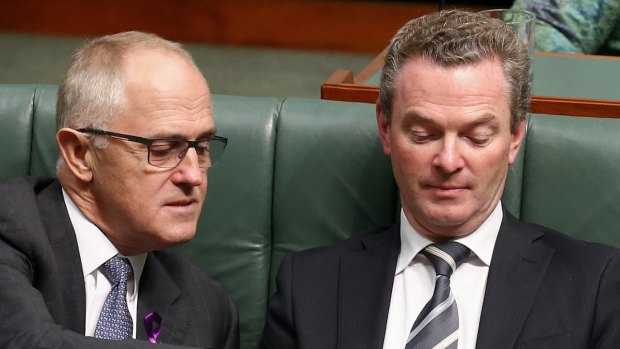 Communications Minister Malcolm Turnbull and Leader of the House Christopher Pyne during question time on Thursday.