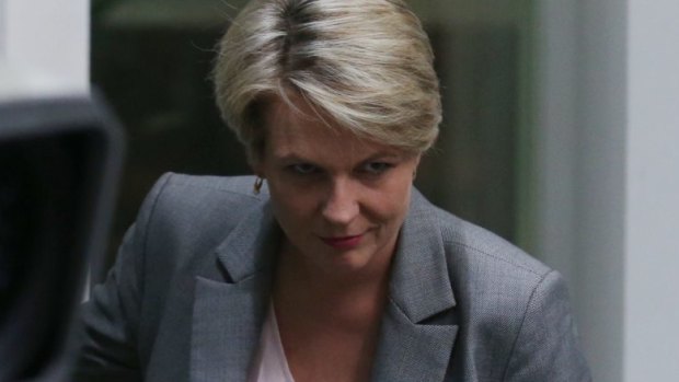Deputy Opposition Leader Tanya Plibersek bows to the Speaker after she was ejected from the House during question time on Tuesday.