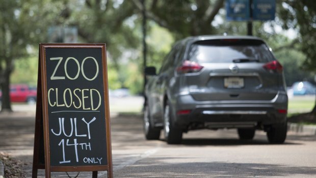 The Audubon Zoo closed after a jaguar escaped from its habitat and killed a series of animals, according to a release from zoo officials in New Orleans. 