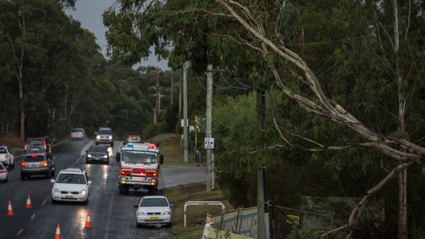 A tree rests on power lines in Dural after fast-moving thunderstorms hit Sydney.