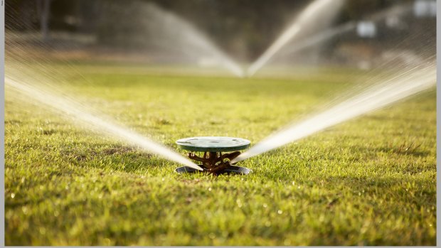 Sprinkler users risk a fine if they breach the winter ban.