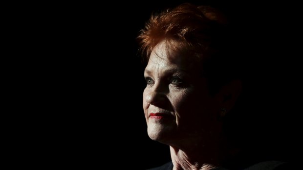 One Nation leader Pauline Hanson in Parliament. 