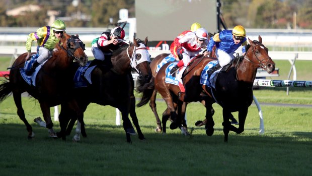 Everest thoughts: Santa Ana Lane charges through to take the Goodwood at Morphettville last month.