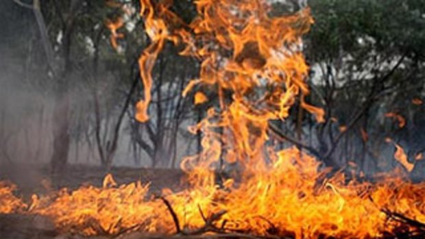 The fires will help prevent more aggressive bushfires in the hot season.