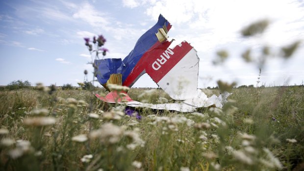 Part of the wreckage of Malaysia Airlines Flight MH17, near the village of Hrabove, Donetsk region.