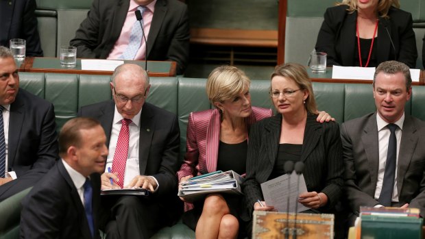 Foreign Affairs Minister Julie Bishop and Health Minister Sussan Ley during question time  on Wednesday.