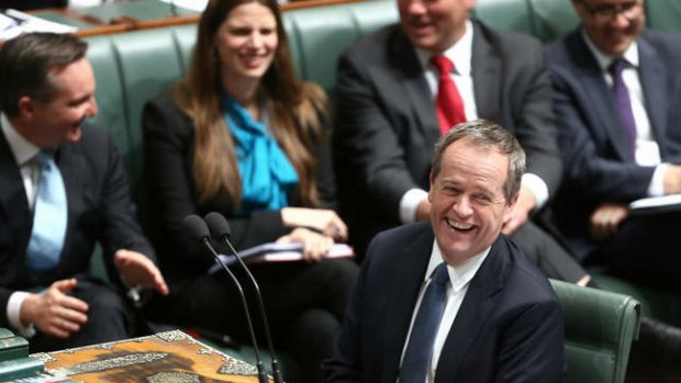 Opposition Leader Bill Shorten during question time on Thursday. Photo: Alex Ellinghausen