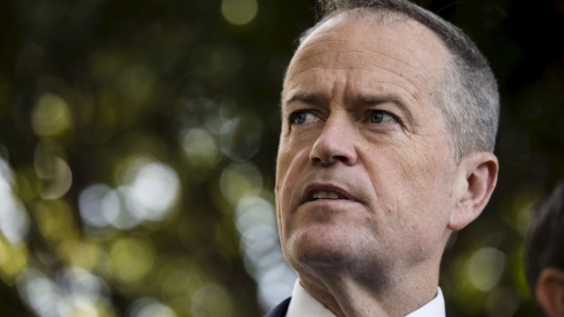 Opposition leader Bill Shorten was forced to retreat on a company tax cut pledge after backlash from businesses, and some within his own party.