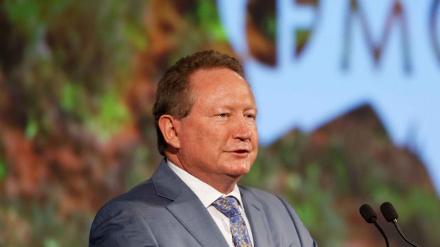 Fortescue Metals Group chairman Andrew Forrest.