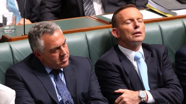 Prime Minister Tony Abbott and Treasurer Joe Hockey in Question Time on Monday.