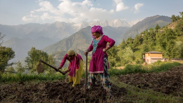 Women prepare a field for sowing corn in Dharmsala, India.