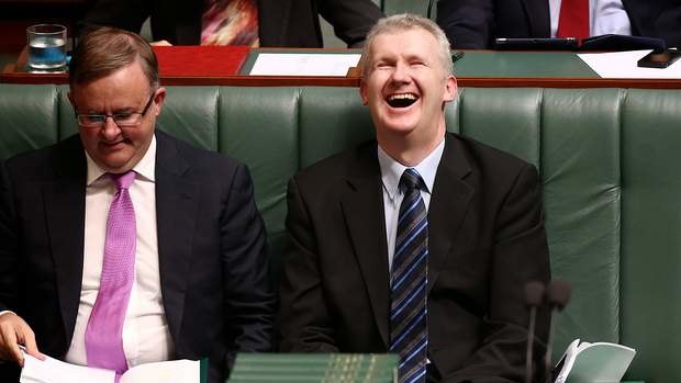 Manager of Opposition Business Tony Burke during Question Time. Photo: Alex Ellinghausen