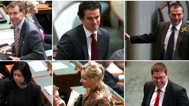 The six Labor MPs that left the chamber under 94a during question time: Nick Champion, Tim Watts, Graham Perrett, Terri Butler, Alannah MacTiernan and Pay Conroy. Photo: Alex Ellinghausen