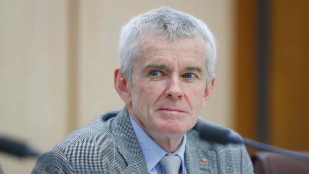 Malcolm Roberts during a Senate estimates hearing in October 2017, before he lost his spot in the citizenship saga. 