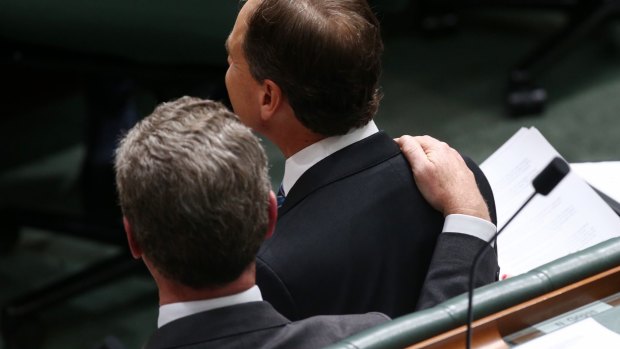Environment Minister Greg Hunt and Leader of the House Christopher Pyne during question time on Wednesday.