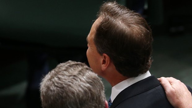 Environment Minister Greg Hunt and Leader of the House Christopher Pyne during question time on Wednesday.