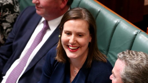 Financial Services Minister Kelly O'Dwyer and Defence Industry Minister Christopher Pyne during question time on Thursday.