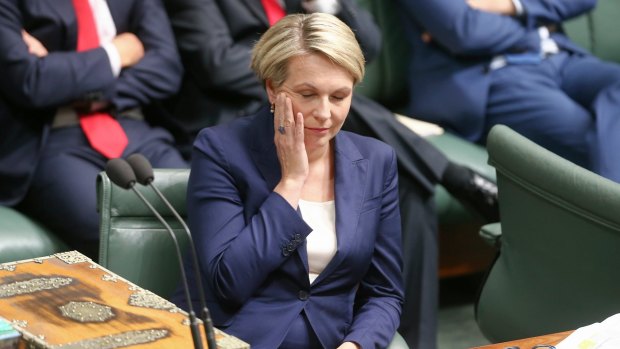 Acting Opposition Leader Tanya Plibersek listens to Special Minister of State Mal Brough in question time on Monday.