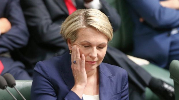 Acting Opposition Leader Tanya Plibersek listens to Special Minister of State Mal Brough in question time on Monday.