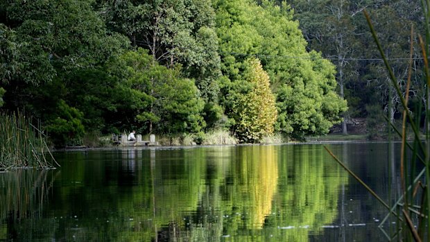 State support for national parks goes back almost 140 years to the creation of the Royal National Park in 1879, when it became only the second such park in the world.