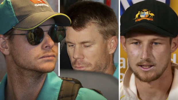 Suspended: Steve Smith and David Warner have been banned for a year, while Cameron Bancroft received nine months.
