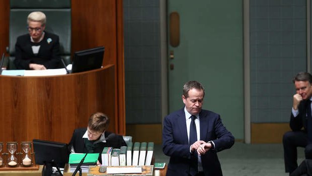 Opposition Leader Bill Shorten speaks on a MPI after question time. Photo: Alex Ellinghausen